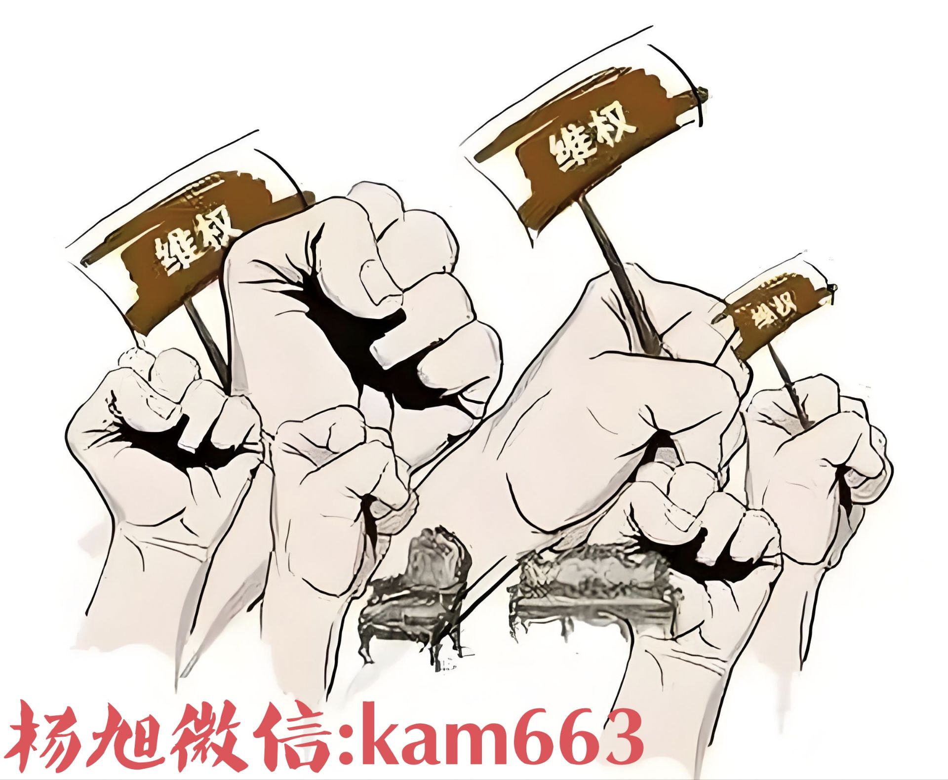 QQ图片20240906232747