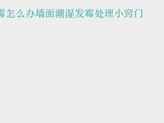 (墙面潮湿发霉怎么处理) 墙面潮湿发霉怎么办墙面潮湿发霉处理小窍门