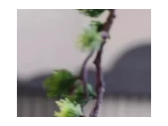 (儿童房设计二人一个房)儿童房如何装修?儿童房设计有哪些注意事项