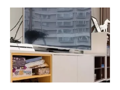 (水泥混凝土路面设计技巧有哪些)水泥混凝土路面设计技巧 水泥混凝土路面施工注意事项