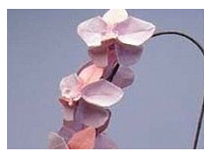 (椅子装修涂料怎样清理干净)花花饰界10种新玩法 给你带来天马行空创意设计